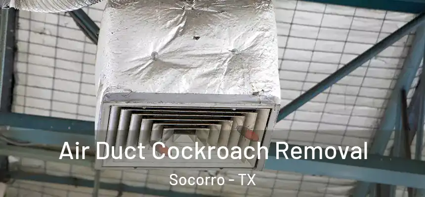  Air Duct Cockroach Removal Socorro - TX