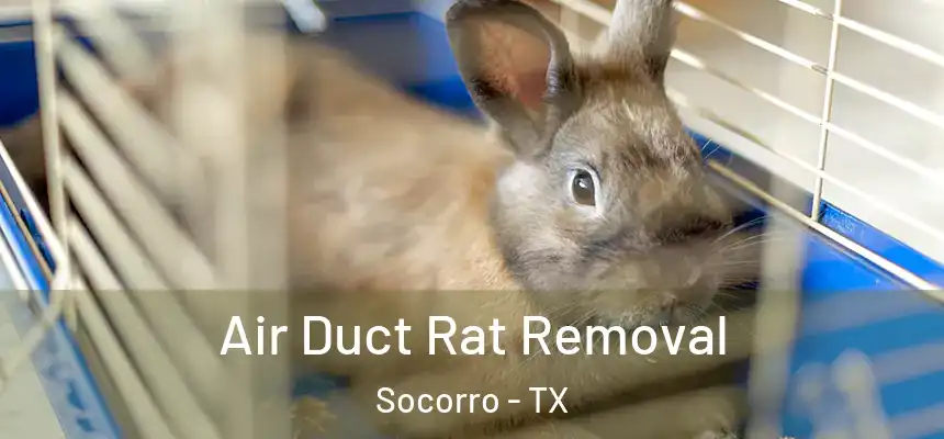 Air Duct Rat Removal Socorro - TX