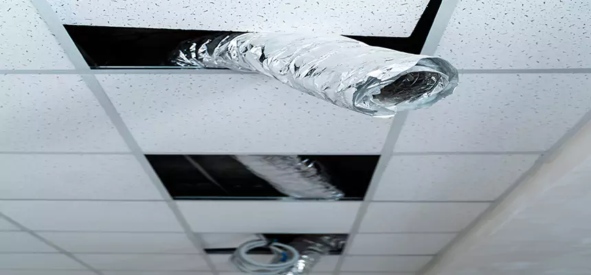 Our Air Duct Pet Hair Removal Services in Socorro, TX