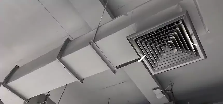 Our Pest Removal From Ducts Services in Socorro, TX