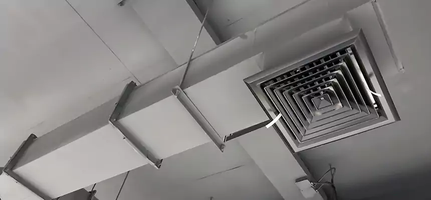 Our Rodent Droppings In Vents Services in Socorro, TX