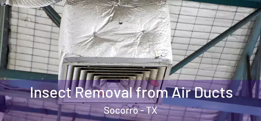 Insect Removal from Air Ducts Socorro - TX