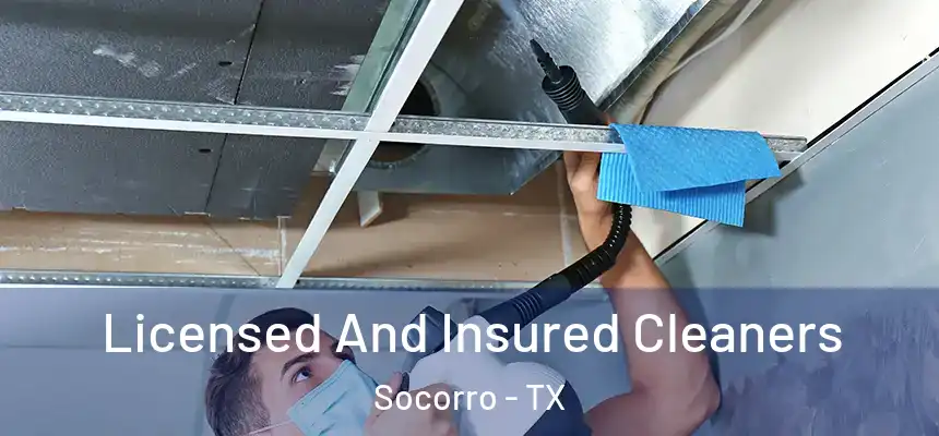  Licensed And Insured Cleaners Socorro - TX
