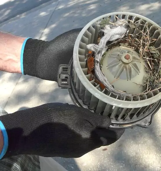 About Air Duct Rat Removal in Socorro, TX