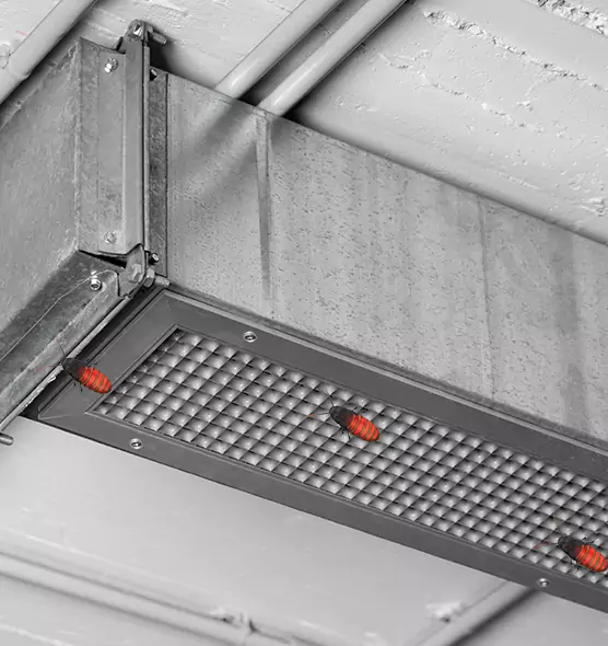 Affordable Insect Removal from Air Ducts in Socorro, TX