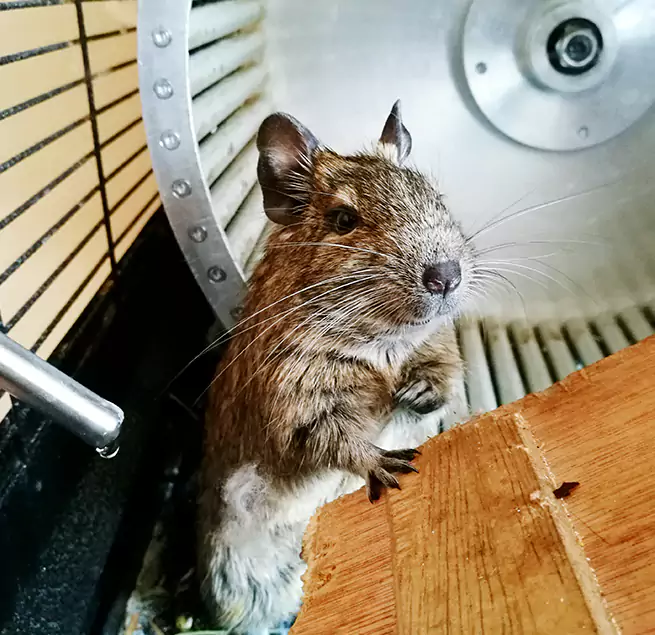 Why Homeowners & Businesses Trust Us Socorro, TX