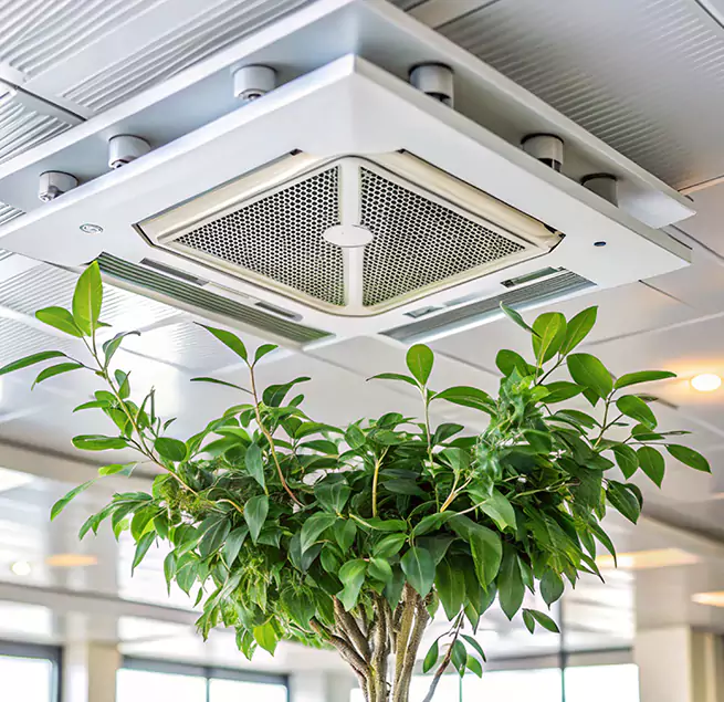 Why Homeowners & Businesses Trust Us in Socorro, TX?