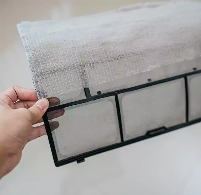 Why Homeowners & Businesses Trust Us in Socorro, TX?