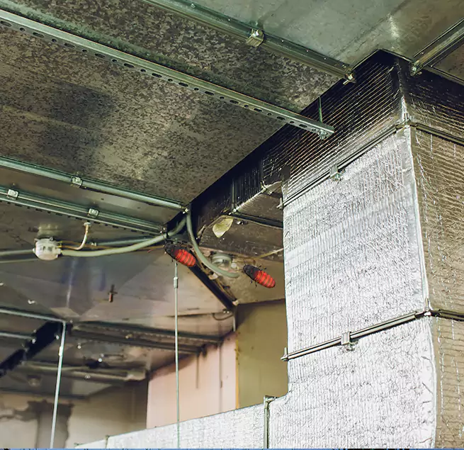 Why Homeowners & Businesses Trust Us Socorro, TX?