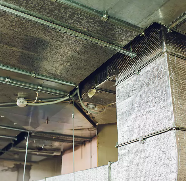 Why Homeowners & Businesses Trust Us in Socorro, TX?