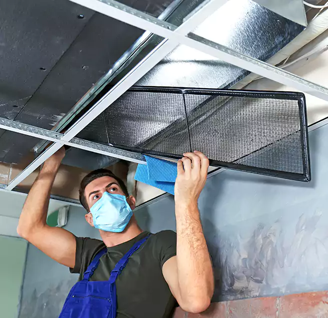 Why Homeowners Businesses Trust Us in Socorro, TX